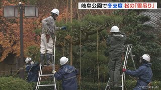 「冬が来たなという感じがする」　雪の重みから木を守る「雪吊り」　岐阜市の公園で作業始まる
