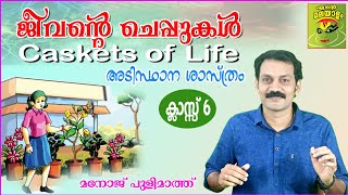 STD 6 Basic Science lesson 1ജീവന്‍റെ ചെപ്പുകള്‍#caskets of life#Class6 BS lesson1Jeevante cheppukal#