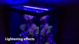 Orbit Marine LED Review
