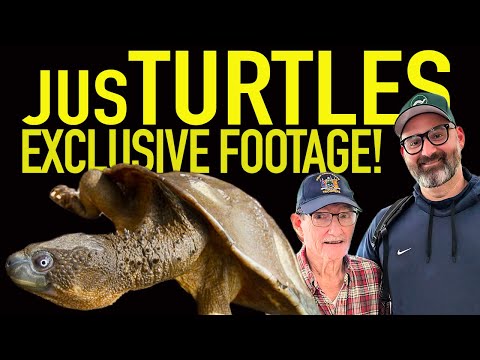 Honoring a Turtle Legend and My Personal Hero - Bill McCord