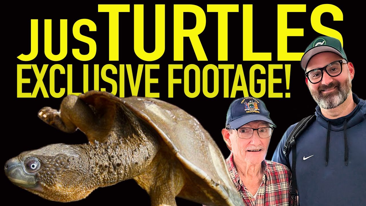 Honoring a Turtle Legend and My Personal Hero - Bill McCord