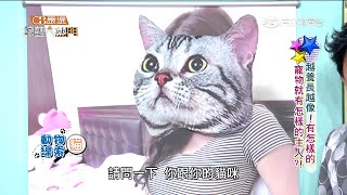 【越養長越像!有怎麼的寵物就有怎樣的主人!】綜藝大熱門20150505 Part 1