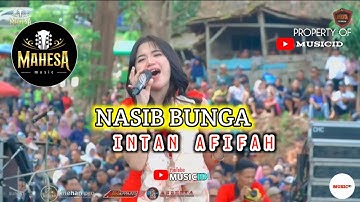 INTAN AFIFAH - NASIB BUNGA || MAHESA MUSIC
