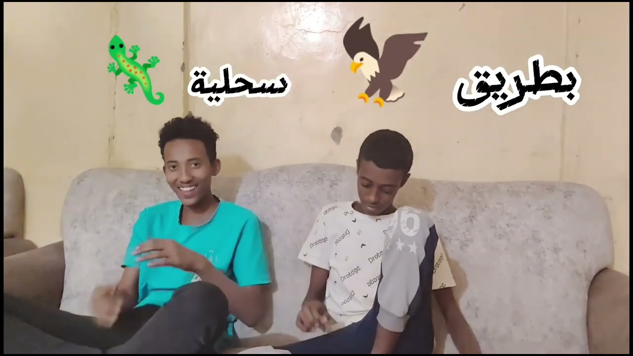 تحديات ليلية 🤯🤩