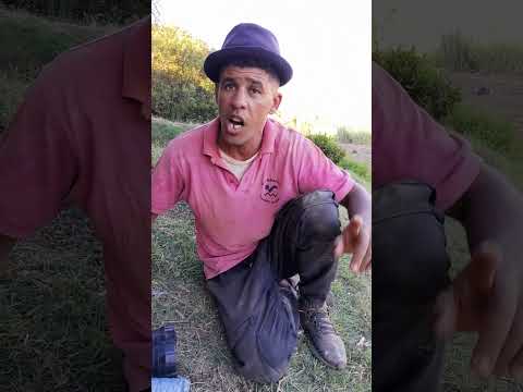 الحاج :راك داخل شريك بالتريكو