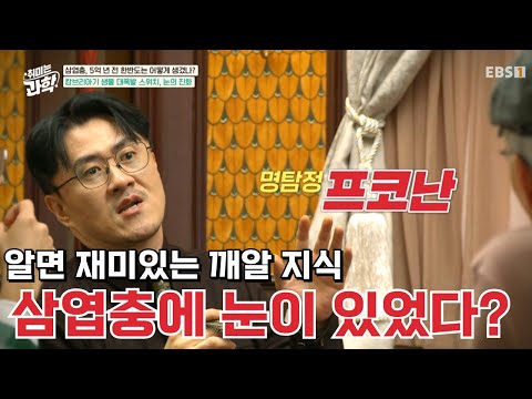 진짜로? 최초의 눈이 삼엽충이라고?👀｜#취미는과학