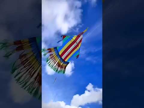 පොඩි ඒවා 😁🪁❤️ #kite #shortvideo #trendingshorts #sarungal #viral #trending #fyp #viralvideo #love