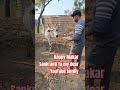 #Happy Makar Sankranti to my dear YouTube family #shorts #motivation #ytshorts #trending