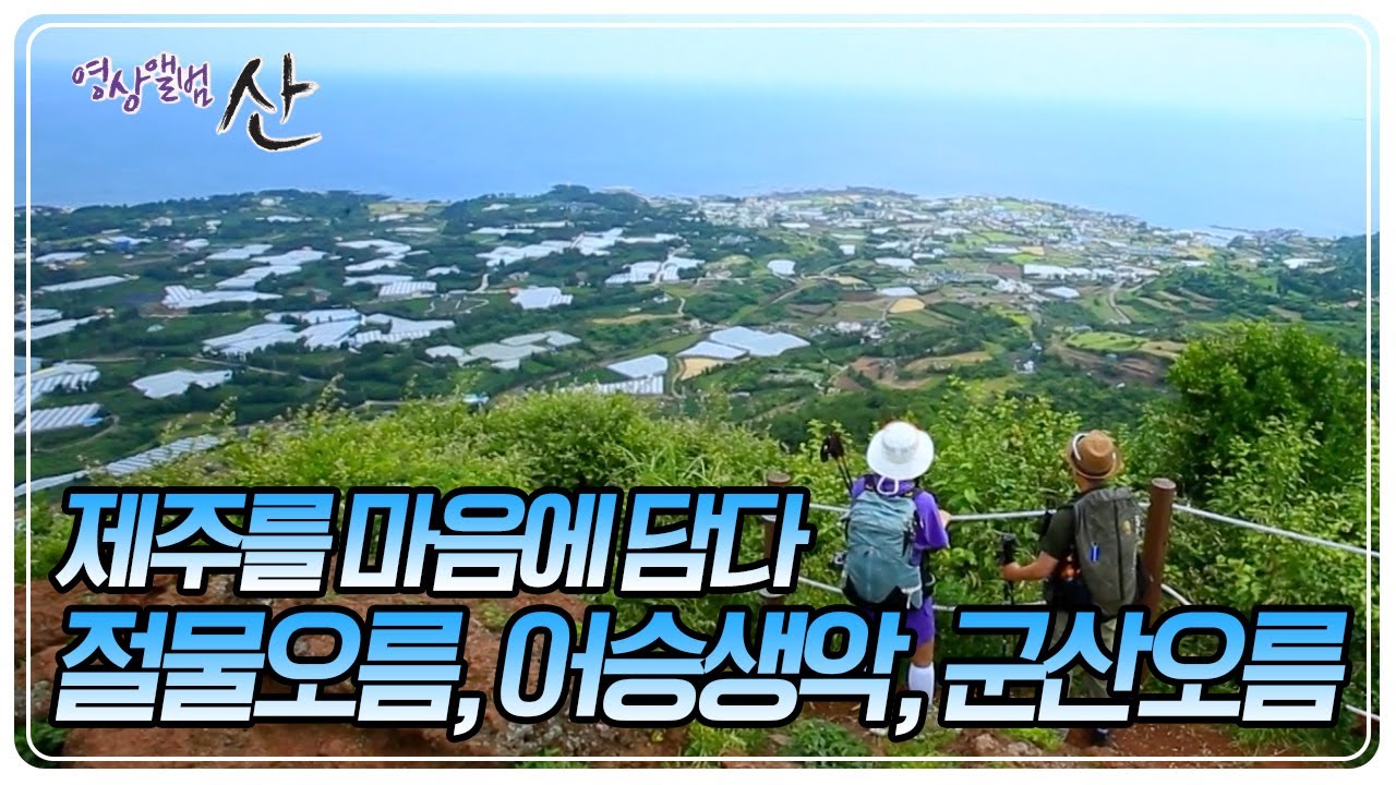 때 묻지 않은 원시 자연을 간직한 '제주의 오름'으로의 여정 [영상앨범 산] KBS 240630 방송