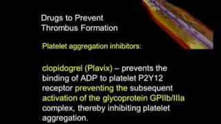Platelet Aggregation Inhibitors screenshot 4
