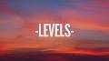 Video for Avicii Levels