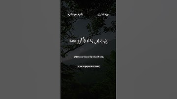 سورة الشورى 49- 50 للقارئ سعود الشريم حفظه لله