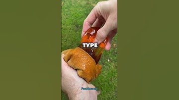 psychology facts to expose you 👀 #facts #shorts #satisfying