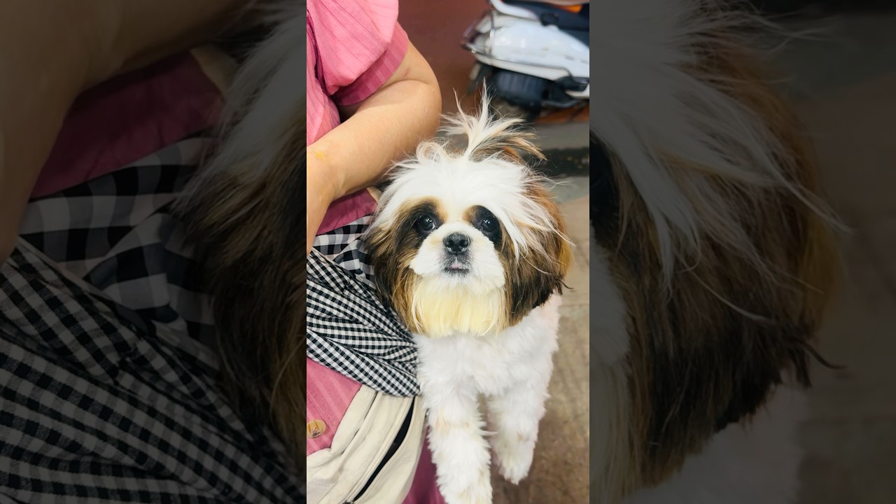 സത്യ സന്ധതയുടെ മുഖം 🥰