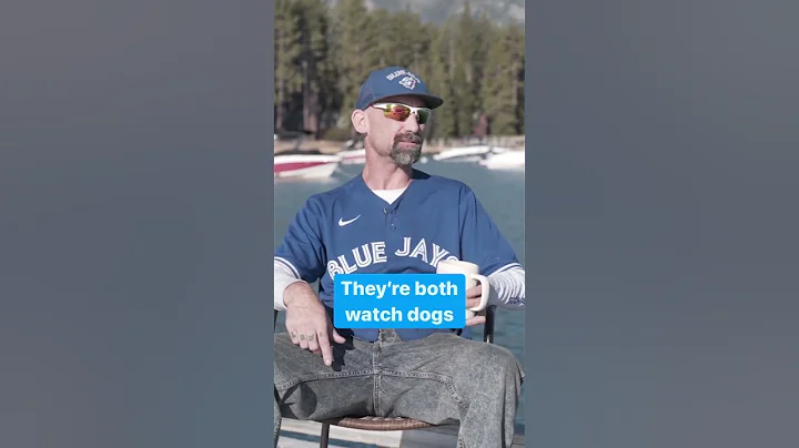 Hit the fan! #dadjokes #docktok