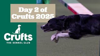 Day 2 Done And Dusted Crufts 2025