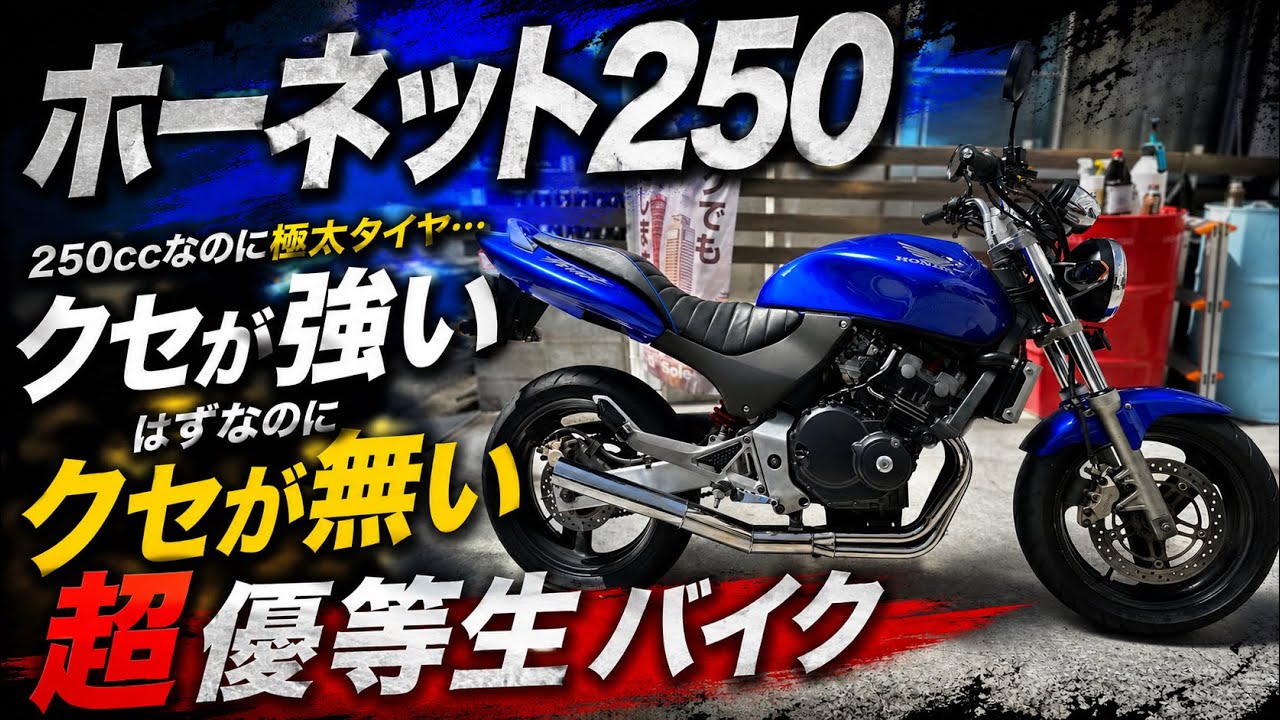 Hornet 250] It's finally finished, so here is the reveal & it's