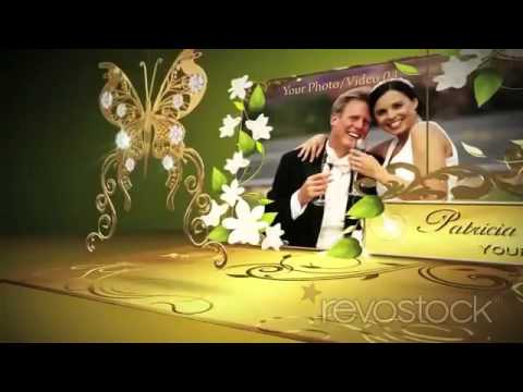 After Effects Templates from Revostock: Our Wedding Day