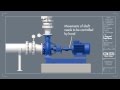 Preinstallation tutorial for nm series end suction centrifugal pumps