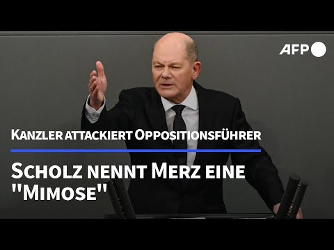 Scholz calls Merz a "sensitive soul" | AFP