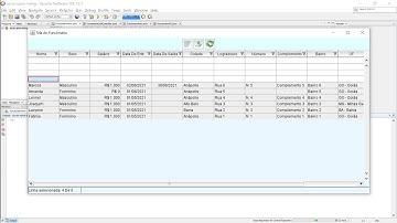 CURSO DE JAVA COM OPENSWING - #12 IMPLEMENTANDO O INSERT