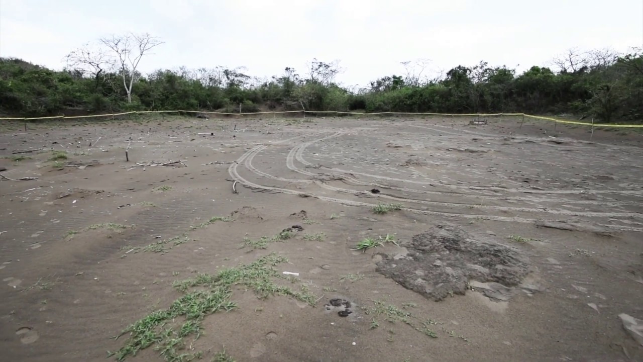 Colinas de Santa Fe, la fosa clandestina más grande de Latinoamérica