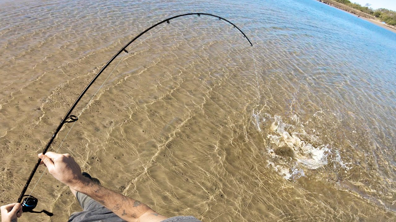 Estuary Fishing Catch n Cook YouTube