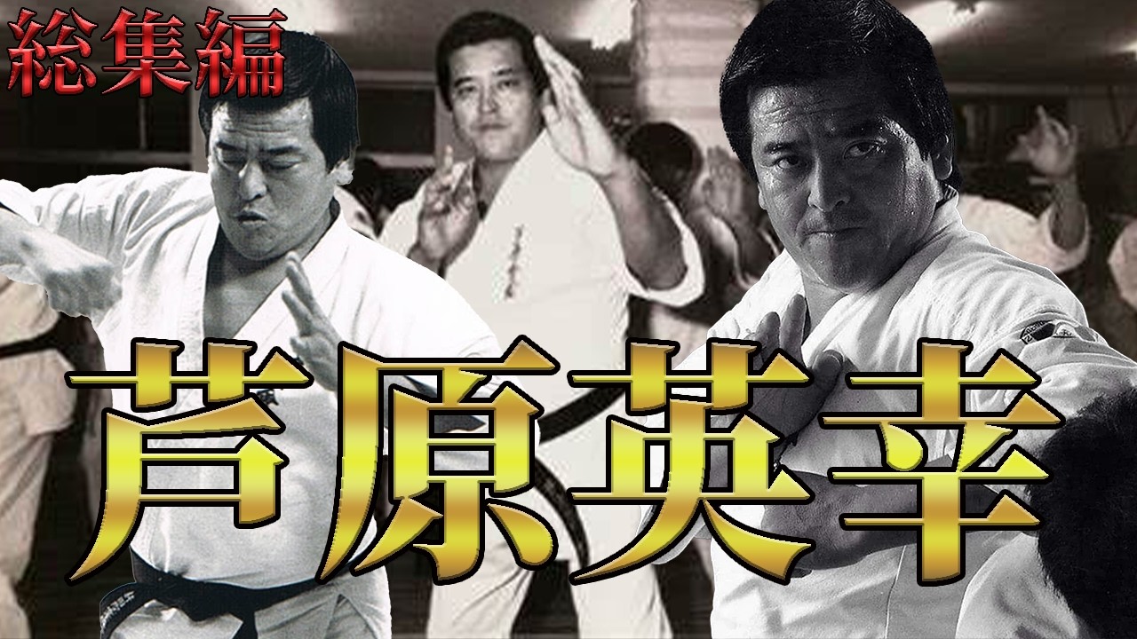 【総集編】芦原英幸