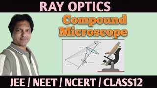 Compound Microscope #insidephysics #education #jee #physics #class12