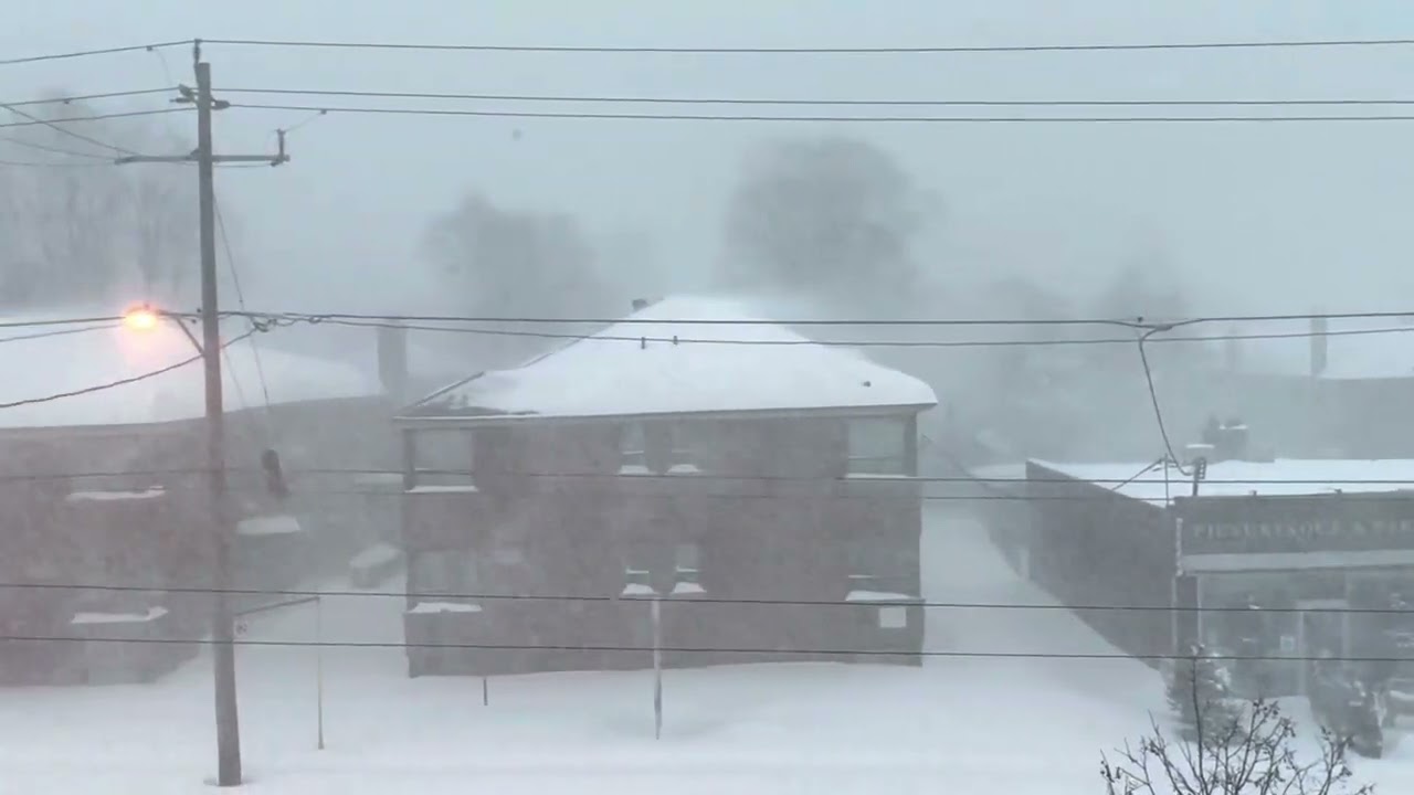 Snow Storm Toronto January 17,2022 #Torontosnowstorm