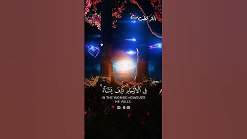 إِنَّ اللَّهَ لَا يَخْفَىٰ عَلَيْهِ شَيْءٌ للقارئ عبد الرحمن مسعد- آل عمران #المصحف #اكسبلور