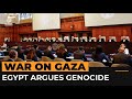 Egypt deals diplomatic blow to israel by joining icj genocide case  al jazeera newsfeed