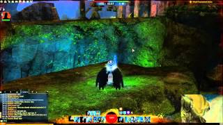 gw2 exploiting teef
