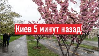 Сегодня 17 апреля 2024! Что происходит в Киеве?