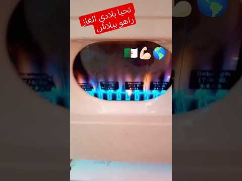 لي معندوش الغاز غير يسجي الحطب لي ماهوش جزائري تفرط فيه 173