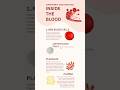 🩸 Blood Components Explained in 60 Seconds | RBC, WBC, Platelets & Plasma