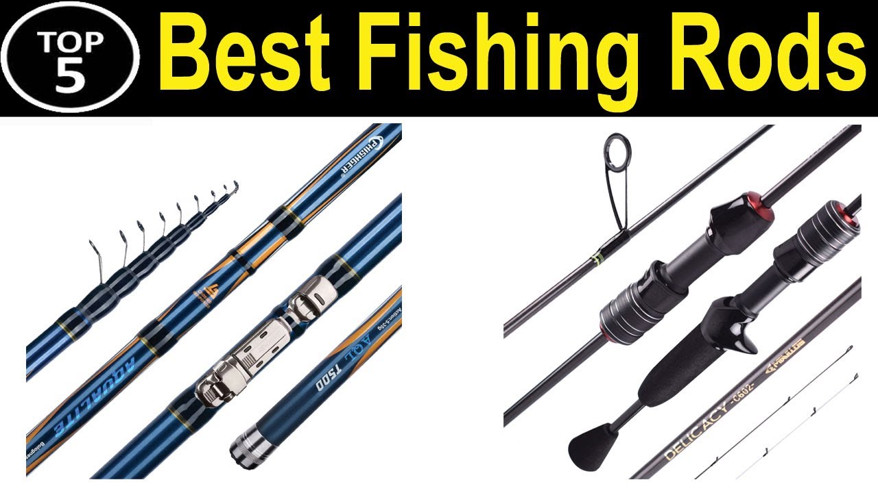 TOP 5 BEST Fishing Rods Review 2023 YouTube
