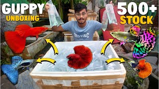 Nye guppyfisk til salg | Online fiskbestilling