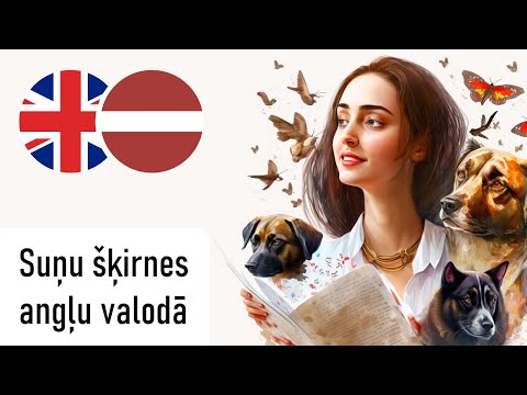 Video: Smieklīgi buldogu vārdi vīriešiem un sievietēm