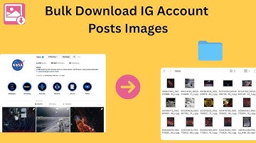 How to bulk download Instagram account posts images and videos?