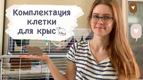 Что должно быть в клетке у крыс? Комплектация клетки для крыс🐀 Мои домики для крыс, гамаки для крыс
