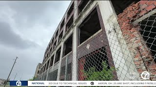 Metro Detroiters weigh in on what should be done with the Packard Plant land