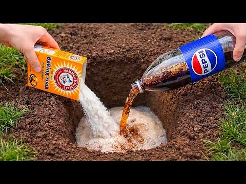 Pour Pepsi and baking soda into a hole! The whole world doesn’t know this.
