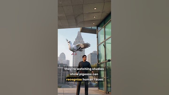 This Bird Will NEVER Forget You #shorts #facts #amazingfacts