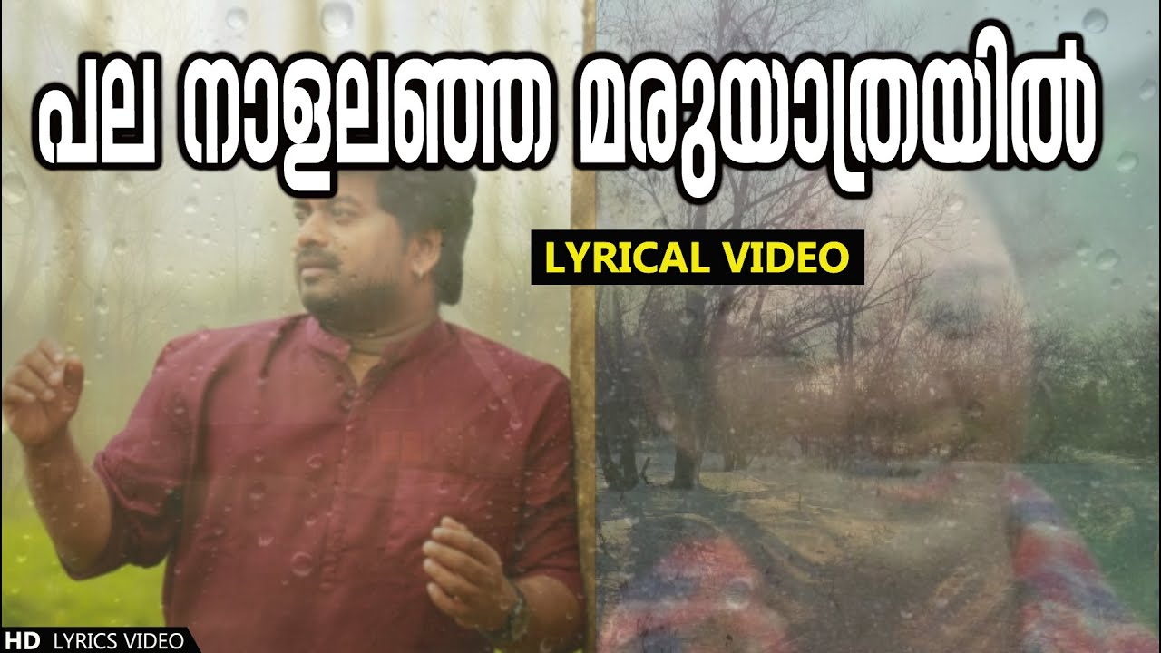 Palanal Alanja Maru Yathrayil  Lyrical Cover Song