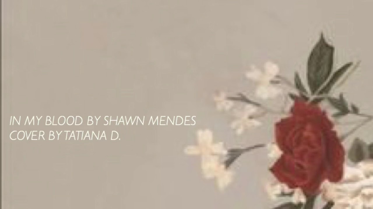 My blood песню. Shawn mendes in my blood. In my blood. You are my blood. Альбомы шона мендеса.