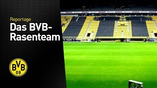 The BVB ground staff - what matters happens on the pitch