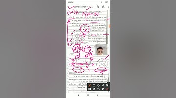 Scalar and vector field