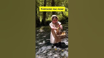 A Little Girl Playing with Baby Ducks 🥹💛 So Pure!