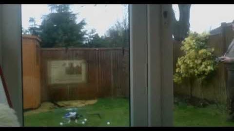 T-Rex 450 Sport Beginners second flight